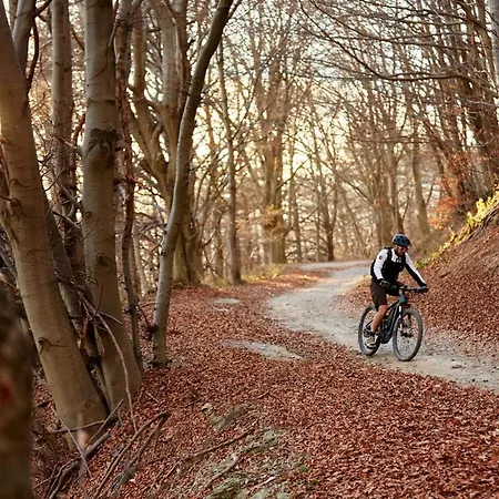 Sant'anna Aparthotel 3*